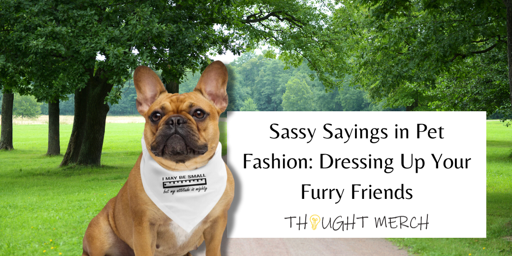 Sassy Sayings in Pet Fashion: Dressing Up Your Furry Friends