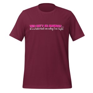 This isn't an argument... it's a tutorial on why I'm right t-shirt - Image 5